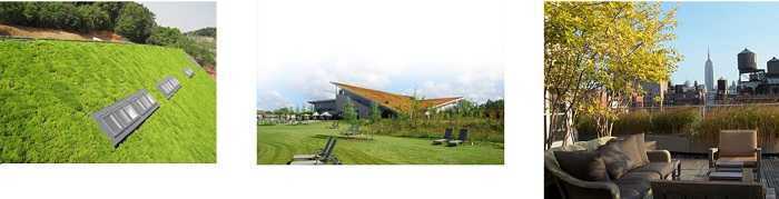 安友屋頂綠化案例 安友屋頂綠化案例