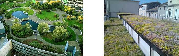 安友屋頂綠化案例 安友屋頂綠化案例