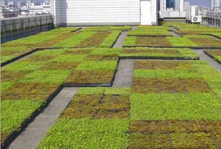 ƽ�漰б����플����D