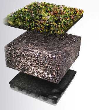 草毯式綠化1 草毯式綠化1