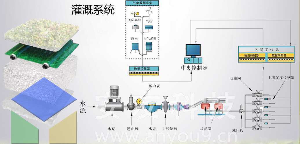草毯式結構3 草毯式結構3