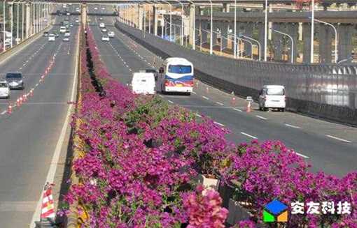 昆明高架橋垂直綠化 昆明高架橋垂直綠化