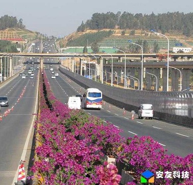 高架橋綠化 高架橋綠化