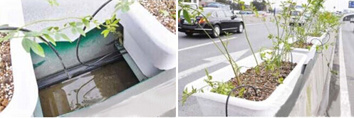 灌溉系統_排水系統 灌溉系統_排水系統