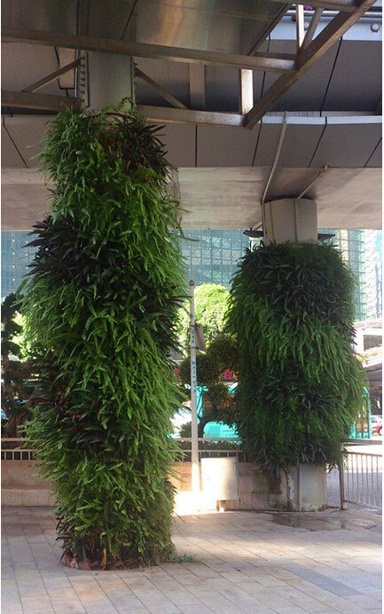 ���ј����G��