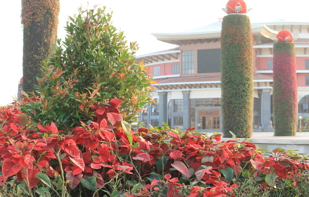 橋柱綠化案例 橋柱綠化案例