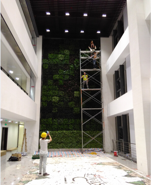 武漢市政科技研發(fā)中心拼塊式植物墻 武漢市政科技研發(fā)中心拼塊式植物墻