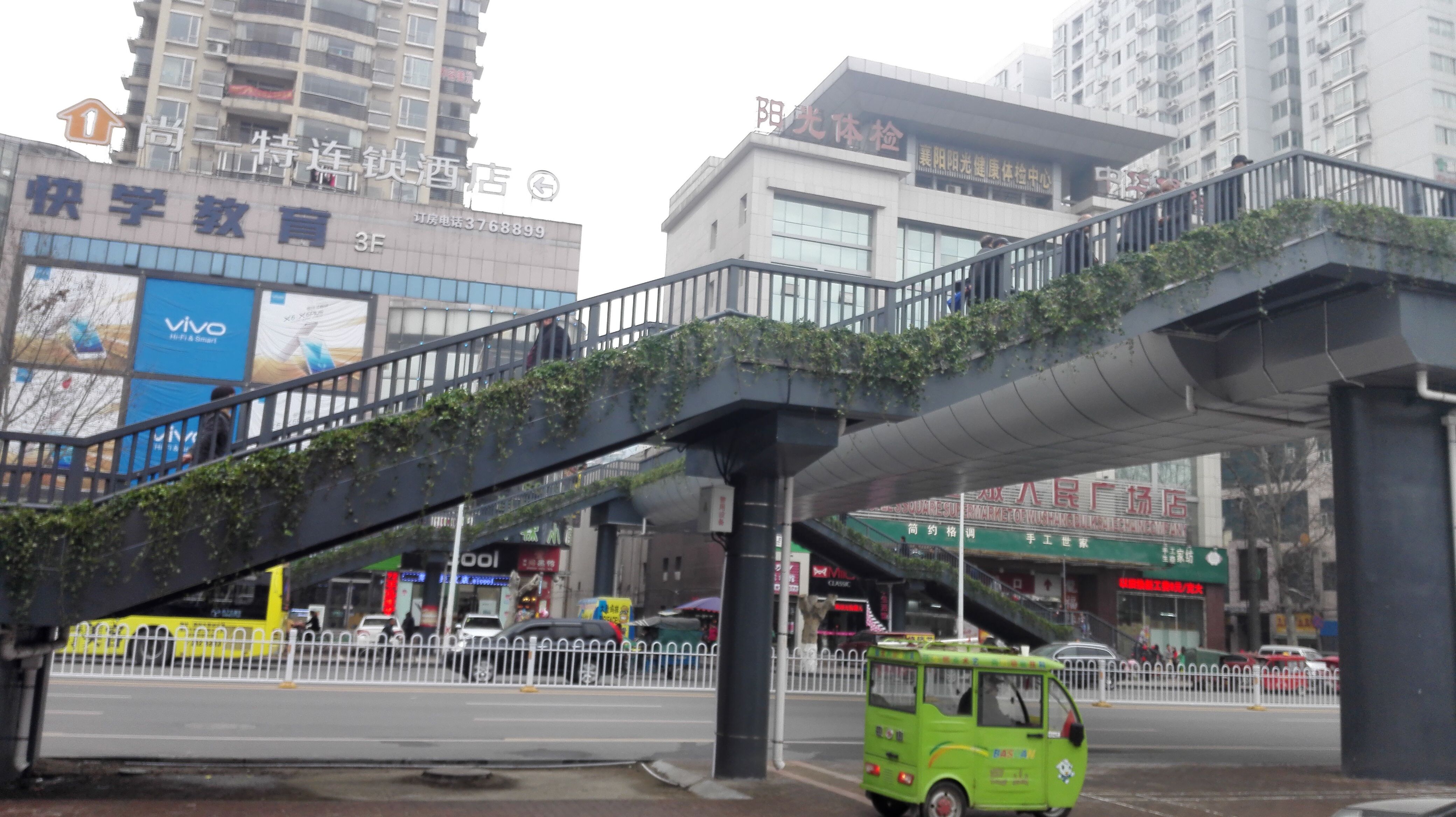 襄陽武商量販人行天橋綠化工程 襄陽武商量販人行天橋綠化工程