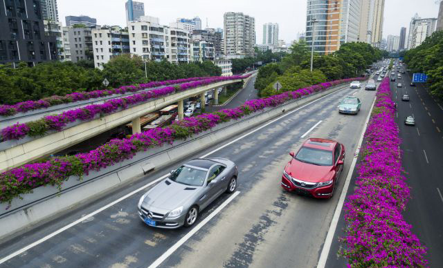 �߼ܘ�G��������x���ѿƼ�