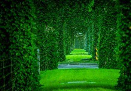 �ɶ��߼ܘ�G��